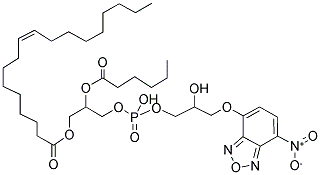 1-OLEOYL-2-[6-[(7-NITRO-2-1,3-BENZOXADIAZOL-4-YL)AMINO]CAPROYL]-SN-GLYCERO-3-[PHOSPHO-RAC-(1-GLYCEROL)] (SODIUM SALT)|