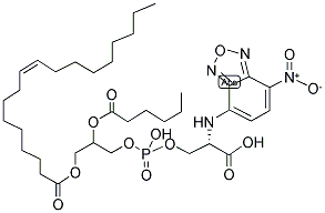 1-OLEOYL-2-[6-[(7-NITRO-2-1,3-BENZOXADIAZOL-4-YL)AMINO]CAPROYL]-SN-GLYCERO-3-PHOSPHOSERINE(SODIUM SALT)|