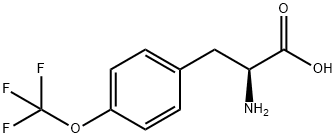 2-AMINO-3-(4-TRIFLUOROMETHOXY-PHENYL)-PROPIONIC ACID|2-AMINO-3-(4-TRIFLUOROMETHOXY-PHENYL)-PROPIONIC ACID