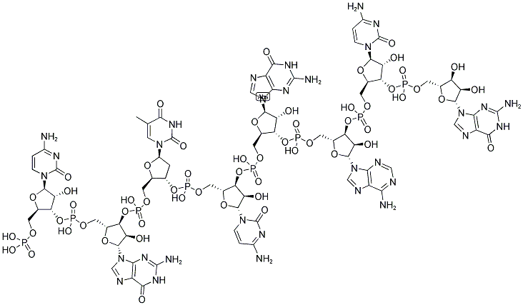 CGTCGACG, 5'-PHOSPHORYLATED