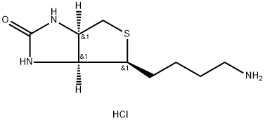  化學(xué)構(gòu)造式
