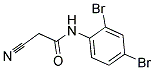 CYANOACET-2,4-DIBROMOANILIDE Struktur