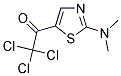 2,2,2-TRICHLORO-1-[2-(DIMETHYLAMINO)-1,3-THIAZOL-5-YL]ETHANONE Struktur