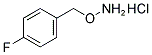 1-[(AMMONIOOXY)METHYL]-4-FLUOROBENZENE CHLORIDE Structure