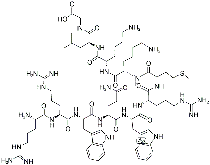ARG-ARG-TRP-GLN-TRP-ARG-MET-LYS-LYS-LEU-GLY