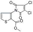 METHYL 3-(3,4-DICHLORO-2,5-DIOXO-2,5-DIHYDRO-1H-PYRROL-1-YL)THIOPHENE-2-CARBOXYLATE Struktur