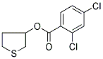 TETRAHYDROTHIOPHEN-3-YL 2,4-DICHLOROBENZOATE Struktur