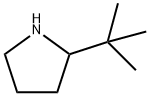 2-TERT-BUTYLPYRROLIDINE Structure