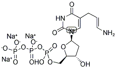 AMINOALLYL DUTP