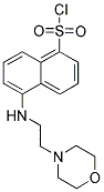 5-(2-MORPHOLIN-4-YL-ETHYLAMINO)-NAPHTHALENE-1-SULFONYL CHLORIDE Structure