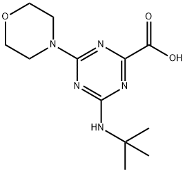 4-TERT-BUTYLAMINO-6-MORPHOLIN-4-YL-[1,3,5]TRIAZINE-2-CARBOXYLIC ACID Struktur