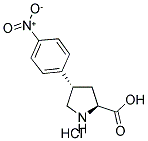 (+/-)-TRANS-4-(4-NITROPHENYL)PYRROLIDINE-3-CARBOXYLIC ACID HYDROCHLORIDE