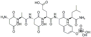 EGF RECEPTOR (988-993) (PHOSPHORYLATED) (HUMAN)