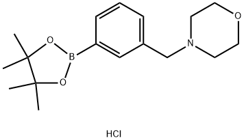 3-(4-MORPHOLINOMETHYL)-PHENYLBORONIC ACID PINACOL ESTER HYDROCHLORIDE Struktur