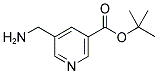 TERT-BUTYL-5-AMINOMETHYL-NICOTINATE Struktur