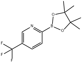 5-TRIFLUOROMETHYLPYRIDINE-2-BORONIC ACID PINACOL ESTER Structure