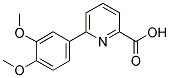 6-(3,4-DIMETHOXYPHENYL)PYRIDINE-2-CARBOXYLIC
