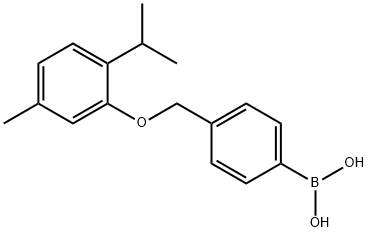 4-[(2-ISOPROPYL-5-METHYLPHENOXY)METHYL]PHENYLBORONIC ACID|4-[(2-異丙基-5-甲基苯氧基)甲基]苯硼酸