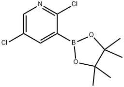 1073371-98-8 Structure