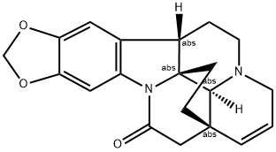 SCHIZOZYGINE Struktur