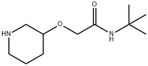 N-TERT-BUTYL-2-(PIPERIDIN-3-YLOXY)-ACETAMIDE|N-叔丁基-2-(3-氧基哌啶)乙酰胺