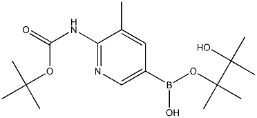 2-TERT-BUTYLOXYCARBONYLAMINO-3-METHYLPYRIDINE-5-BORONIC ACID PINACOL ESTER Struktur