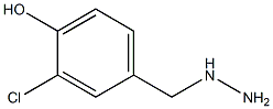 3-CHLORO-4-HYDROXY-BENZYL-HYDRAZINE Struktur