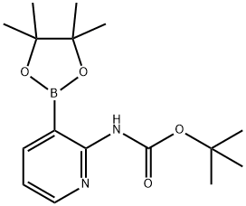 2-TERT-BUTYLOXYCARBONYLAMINOPYRIDINE-3-BORONIC ACID PINACOL ESTER Structure
