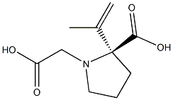 (-)-(ALPHA)-KAINIC ACID HYDRATE Struktur