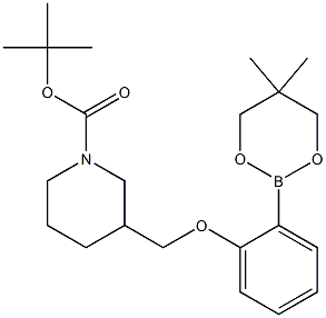 TERT-BUTYL 3-[[2-(5,5-DIMETHYL-1,3,2-DIOXABORINAN-2-YL)PHENOXY]METHYL]PIPERIDINE-1-CARBOXYLATE Struktur