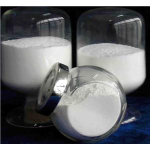 氫化可的松/Hydrocortisone/50-23-7/18872220796