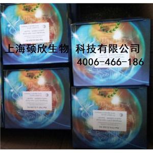 人基質金屬蛋白酶13（MMP-13）Elisa試劑盒