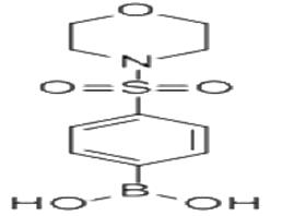 4-(嗎啉磺?；?苯硼酸