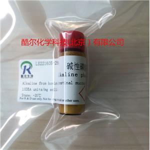 堿性磷酸酶 (來(lái)源牛腸粘膜)
