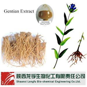 絞股藍(lán)提取