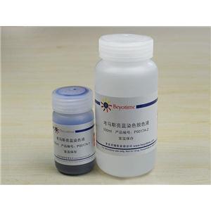 考馬斯亮藍(lán)染色試劑盒(常規(guī)法)