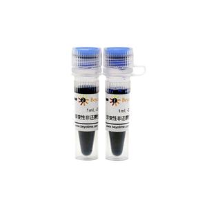 非變性非還原性蛋白上樣緩沖液(5X)