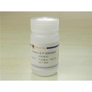 Western及IP細胞裂解液(無抑制劑)
