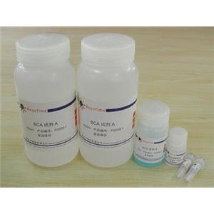 BCA蛋白濃度測定試劑盒(增強型)