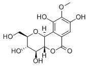 巖白菜素；巖白菜內酯；巖白菜寧,虎耳草科植物巖白菜提取物