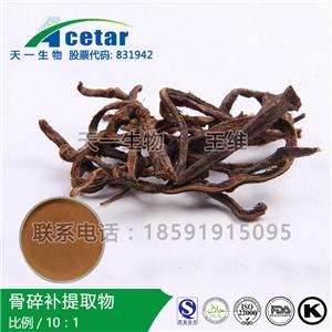 骨碎補(bǔ)提取物，Rhizoma Drynariae Extract