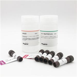 線粒體膜電位檢測試劑盒(JC-1)