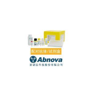 cGMP ELISA Kit