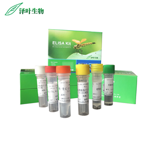 肺炎鏈球菌熒光定量PCR試劑盒（探針法）