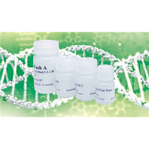 Annexin V-kFluor488/PI雙染細(xì)胞凋亡檢測(cè)試劑盒