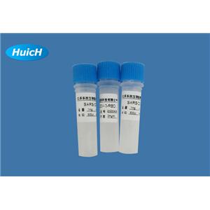重組人白介素IL-1F8細胞因子