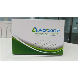 HRP標記兔抗山羊IgG二抗