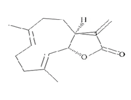 木香烴內(nèi)酯