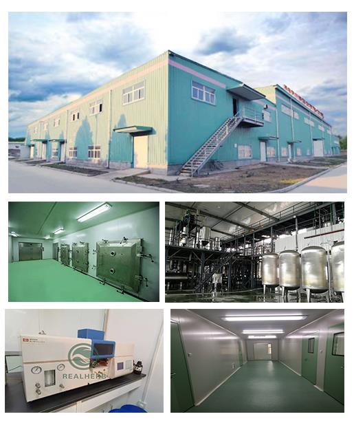 factory view.jpg