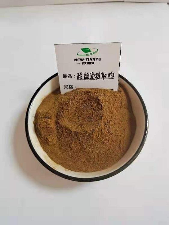路路通1.jpg